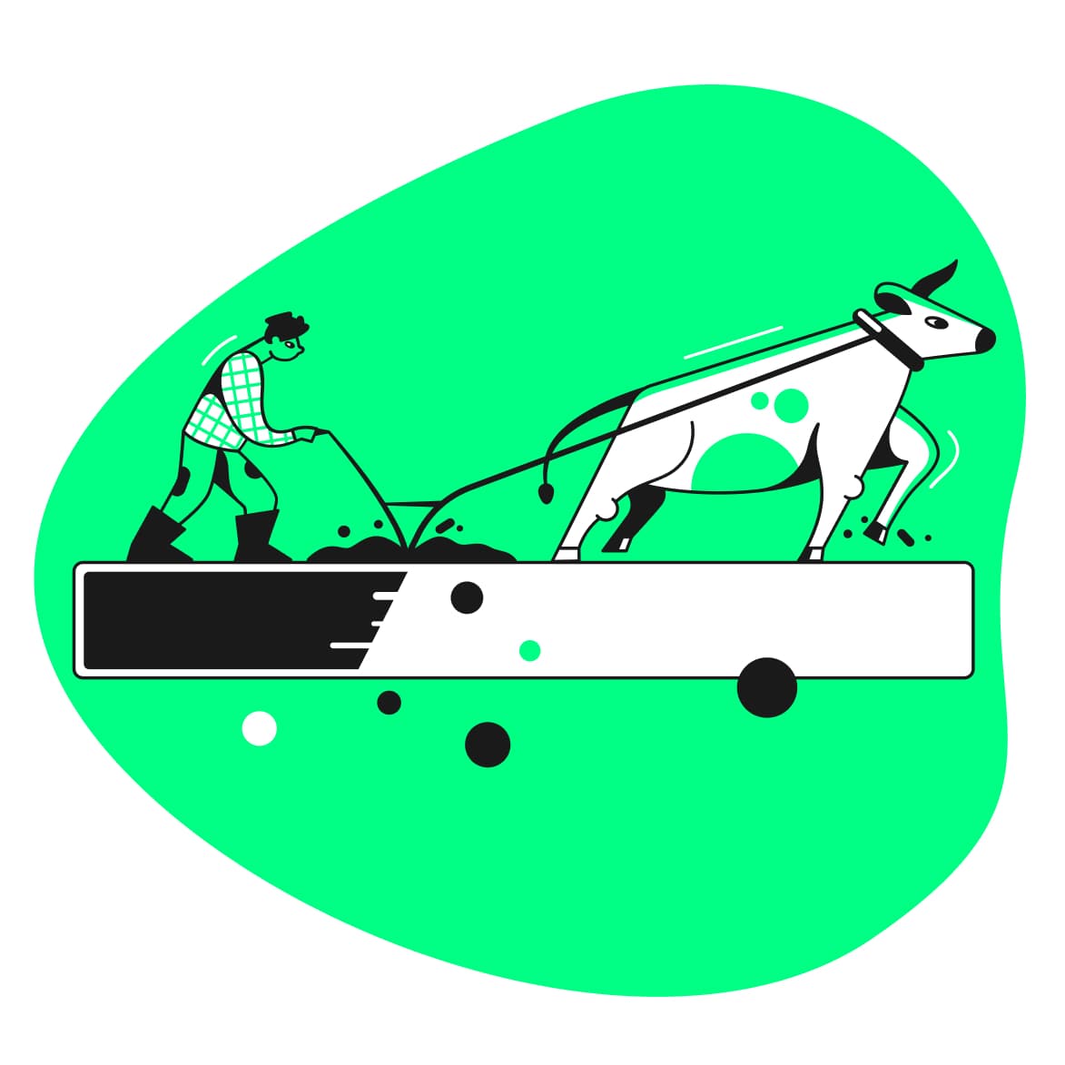 Wizualizacja raportu Ecommerce Weight